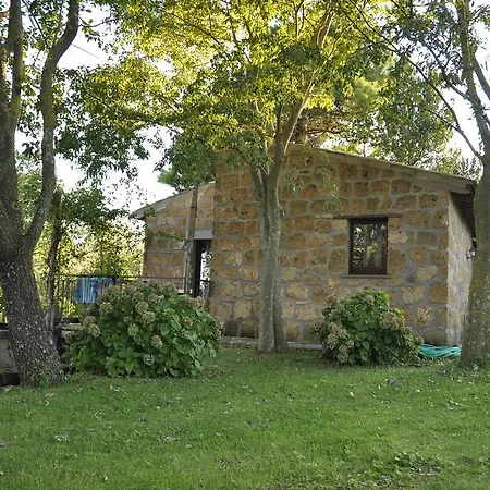 Buriano
